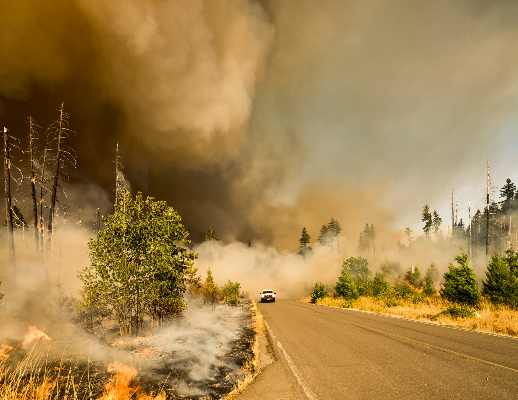 truck driving out of smoking forest